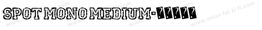 Spot Mono Medium字体转换